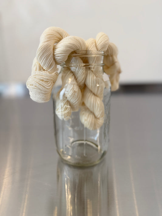 Minis in a Mason Jar