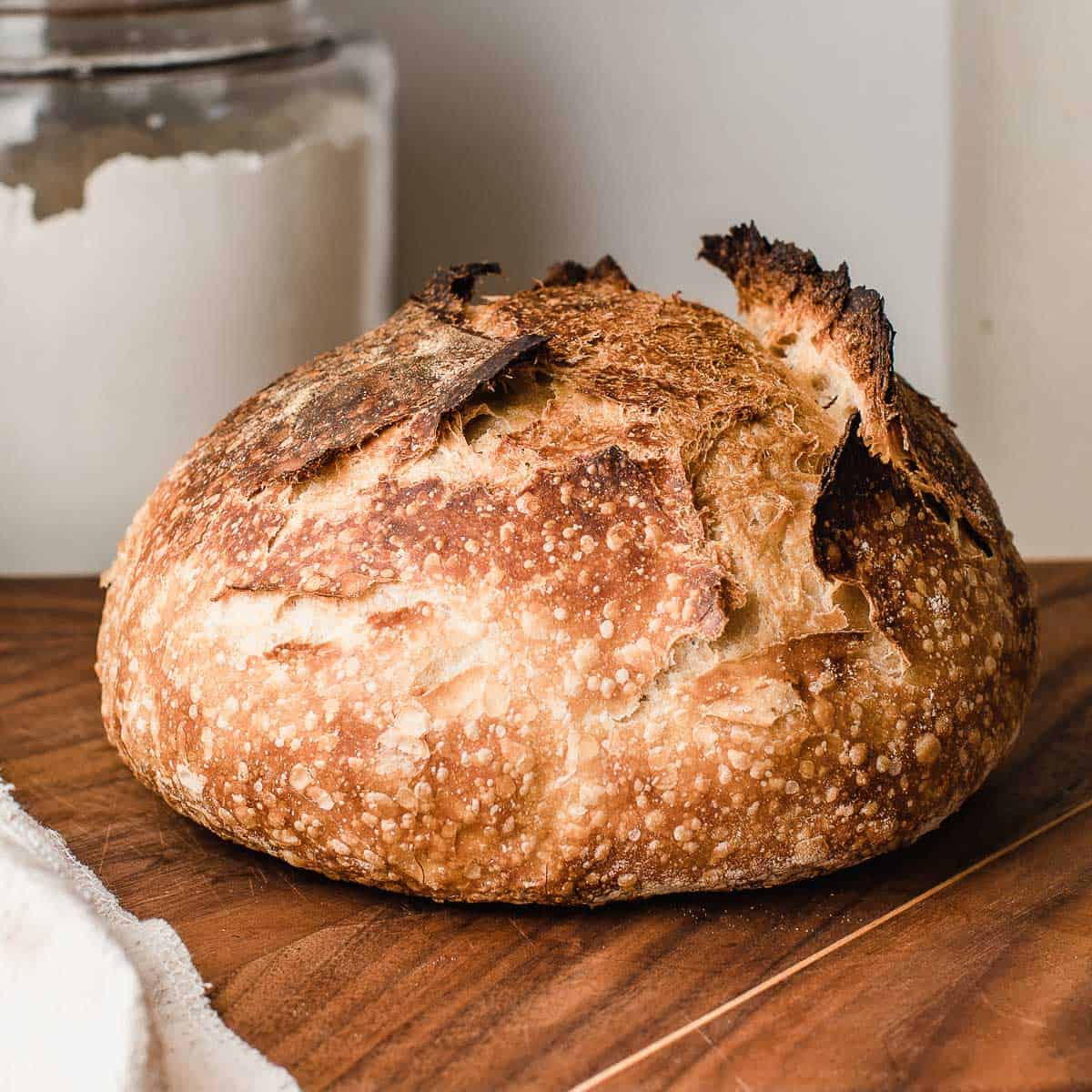 Beginning A Sourdough Journey