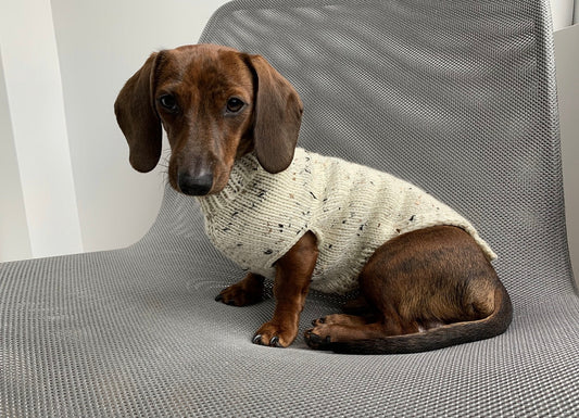 Edinburgh Dog Sweater
