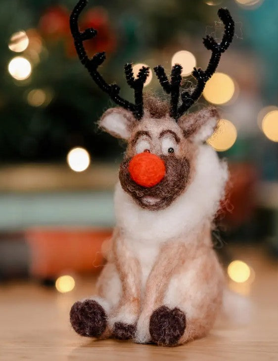 Christmas Animal Needle Felting Kit