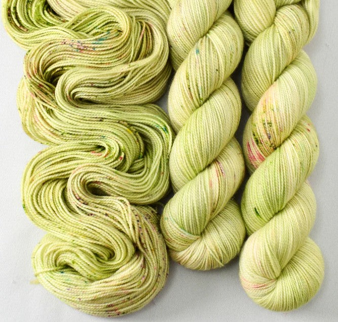 Miss Babs Yummy 2-Ply