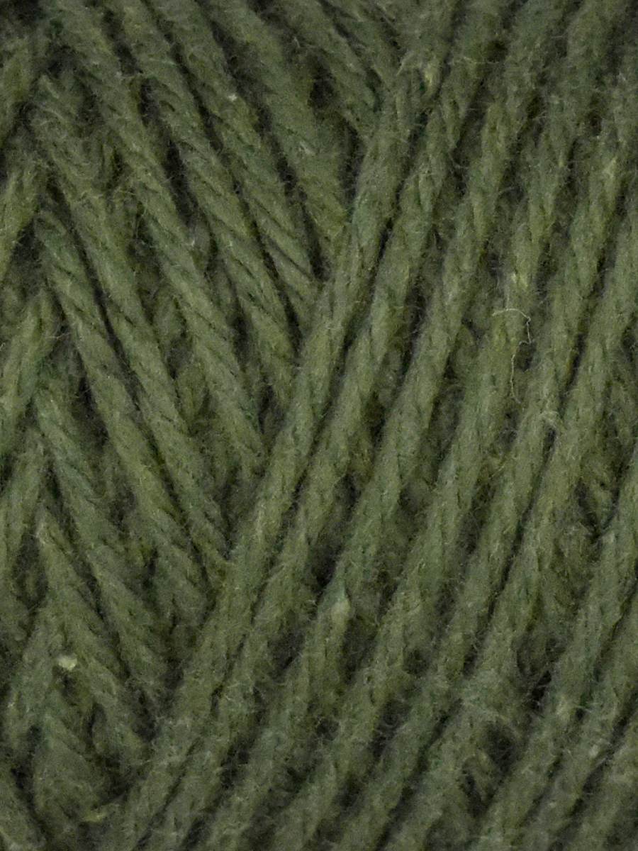 Coastal Cotton