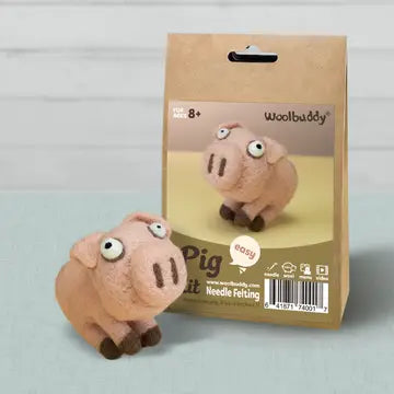 Beginner Needle Felting Kit
