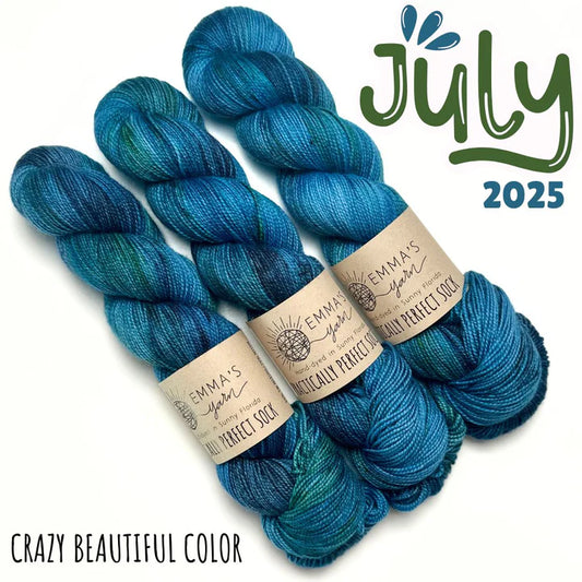 Emma's Yarn - Practically Perfect Sock