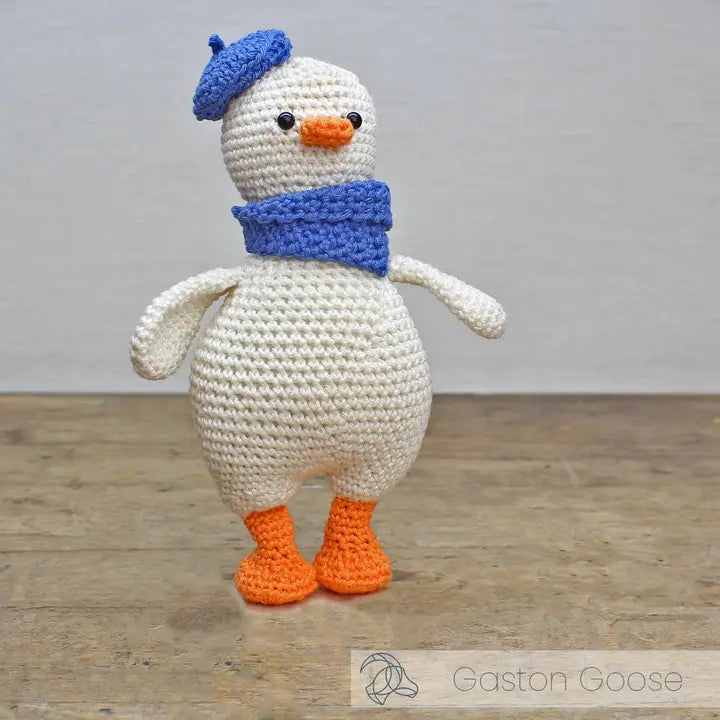 DIY Crochet Kit