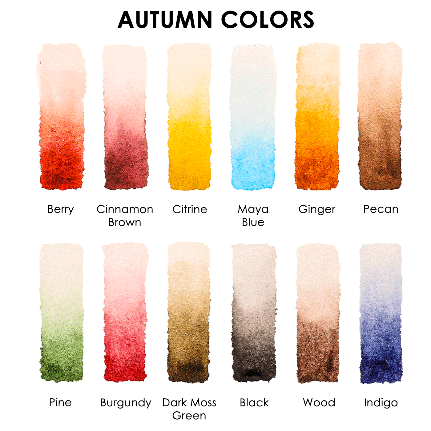 Watercolor Coloring Club Box