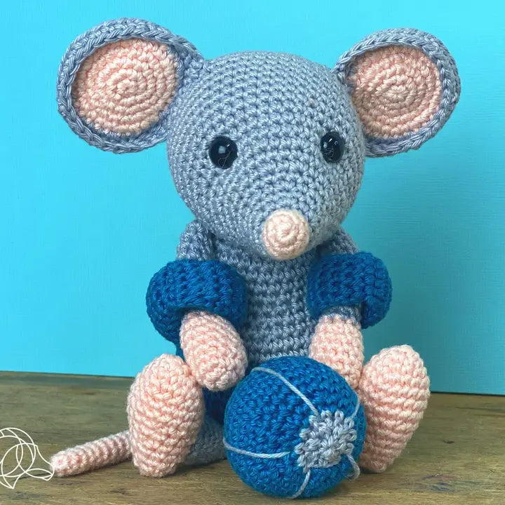 DIY Crochet Kit