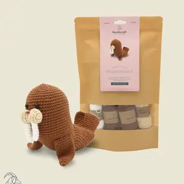 DIY Crochet Kit