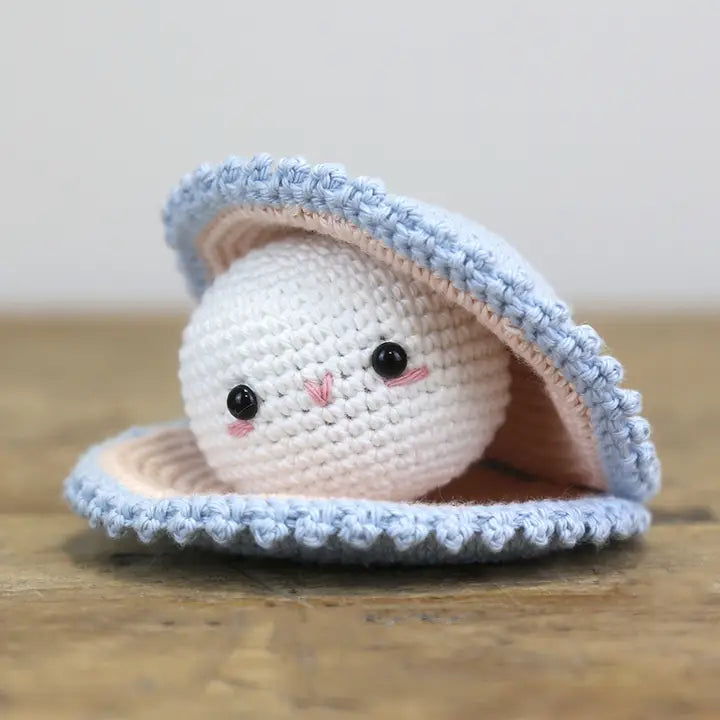 DIY Crochet Kit