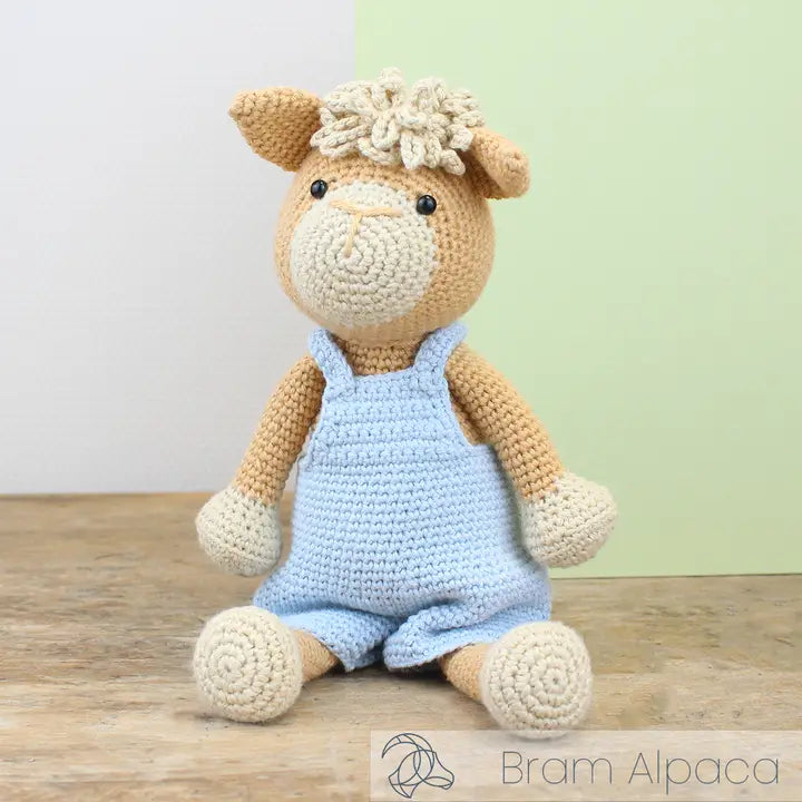 DIY Crochet Kit