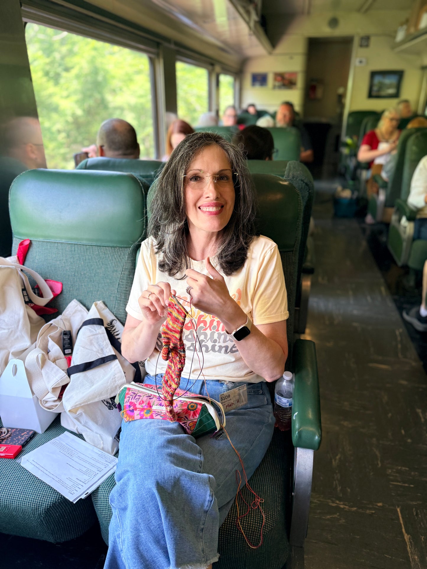 Come on Ride the Train!