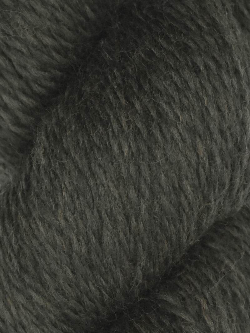 Juniper Moon Rambouillet