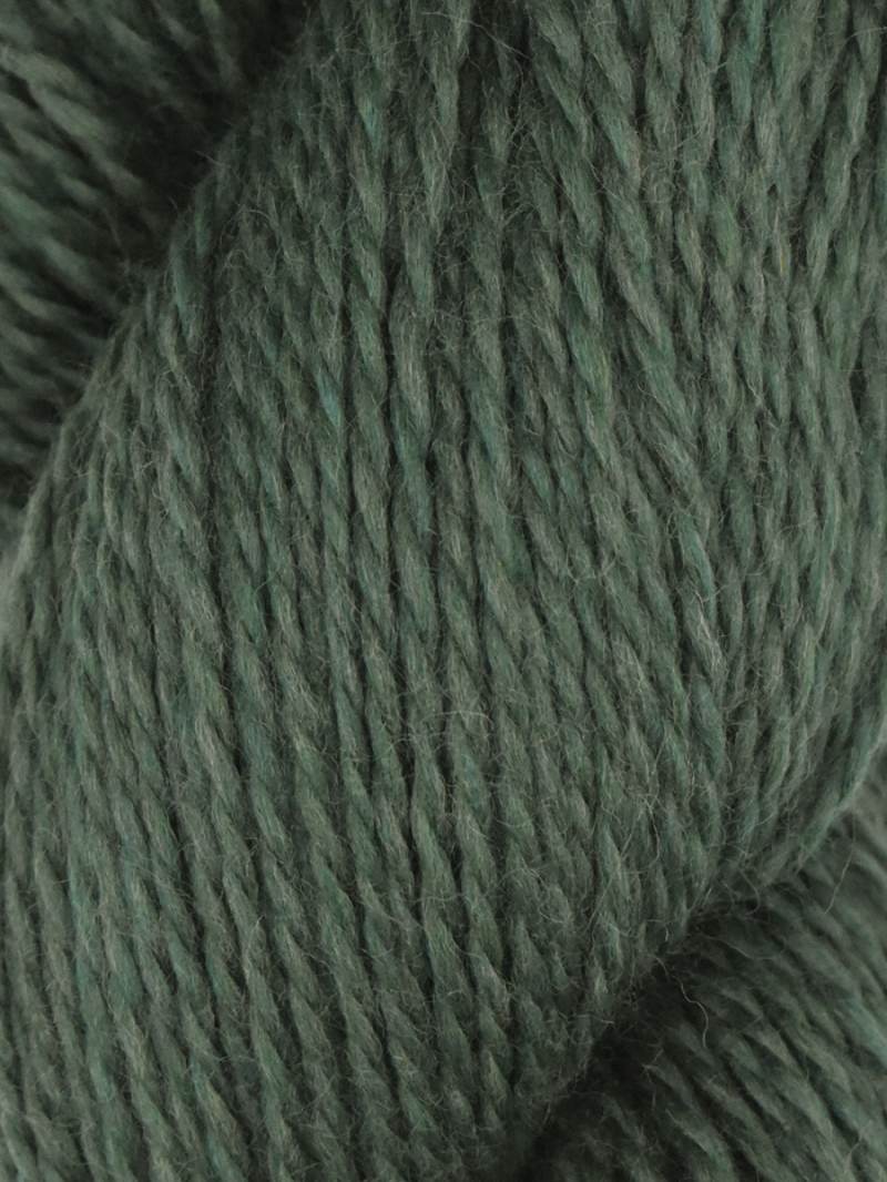 Juniper Moon Rambouillet