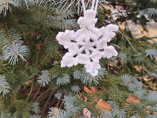 Christmas in July Crochet Ornament Series