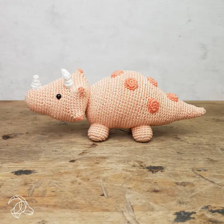 DIY Crochet Kit