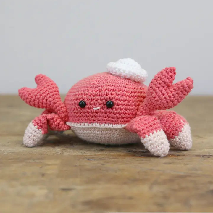 DIY Crochet Kit