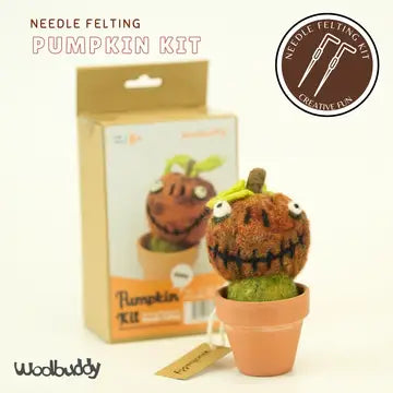 Beginner Needle Felting Kit