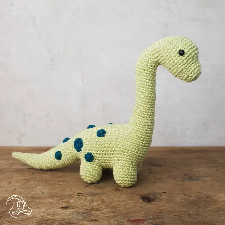 DIY Crochet Kit