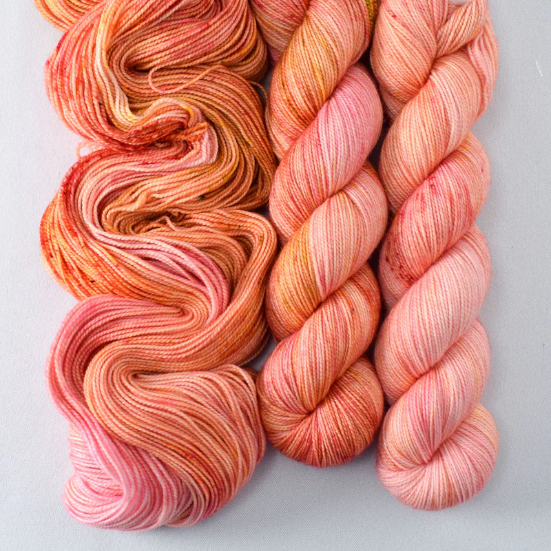 Miss Babs Yummy 2-Ply