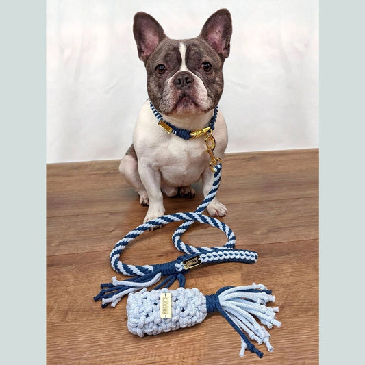 Summer Crafts:  Make & Take Dog Lead