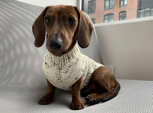 Edinburgh Dog Sweater