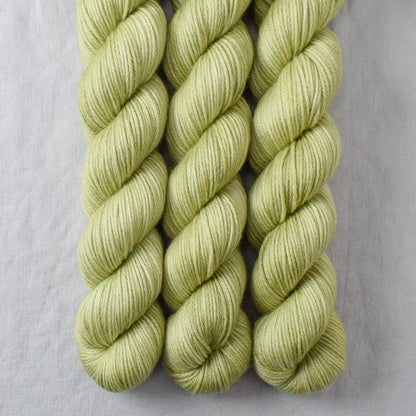 Miss Babs Yowza Mini