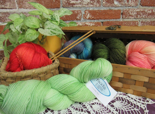 Paca Peds Sock Yarn