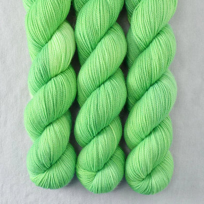Miss Babs Yummy 2-Ply