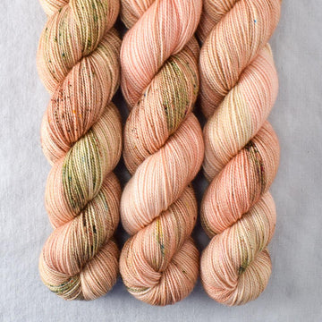 Miss Babs Yummy 2-Ply