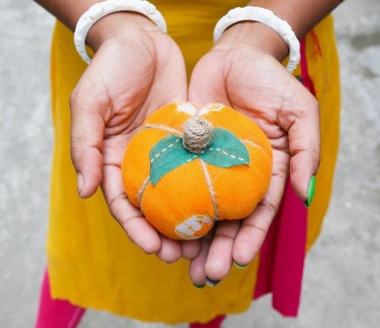 Saree Pumpkins