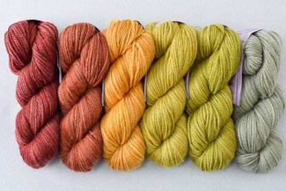 Miss Babs Gradient Set